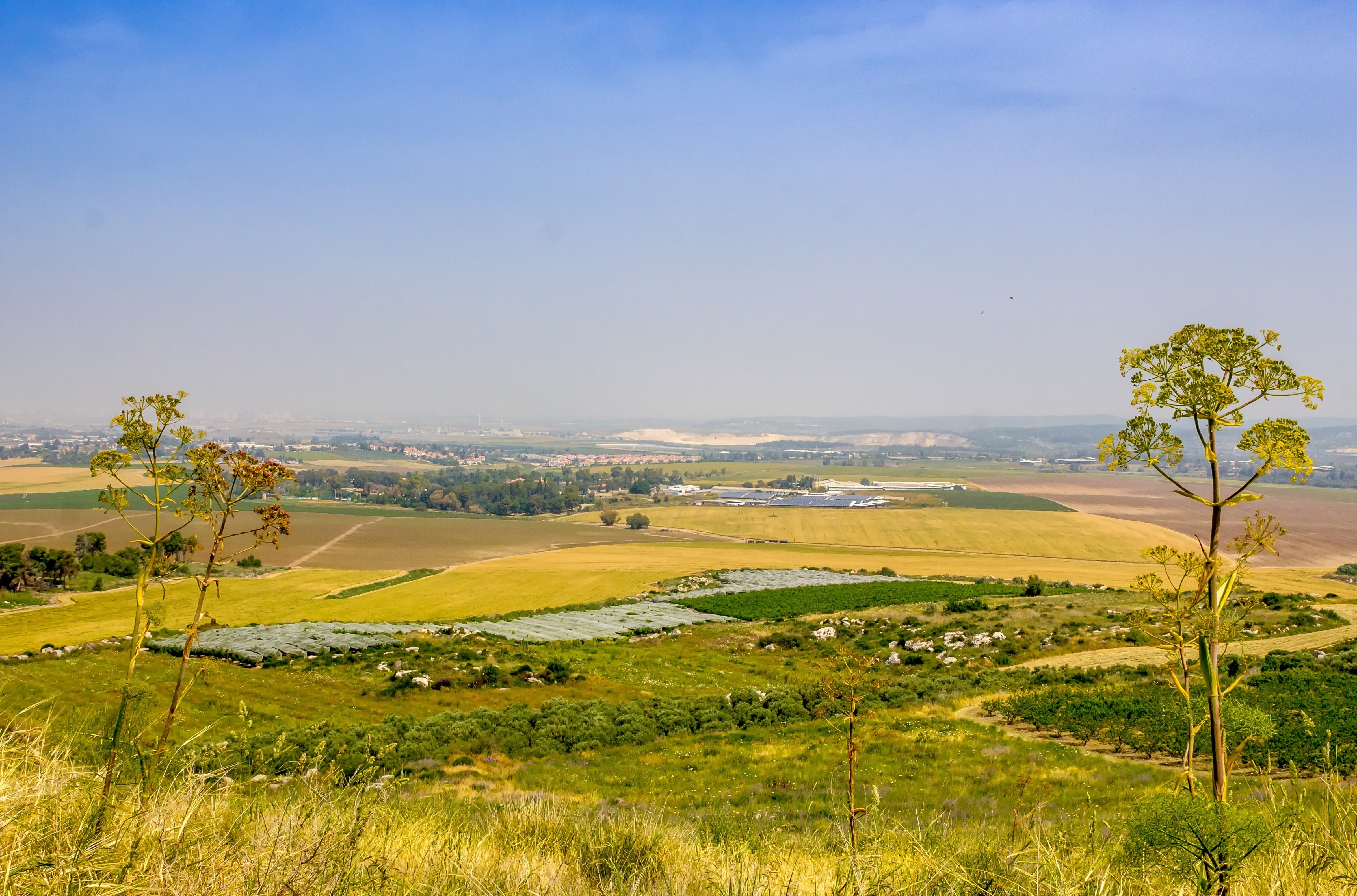 Rural Tanzanian landscape