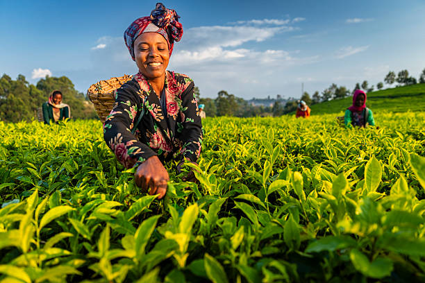 Community training session